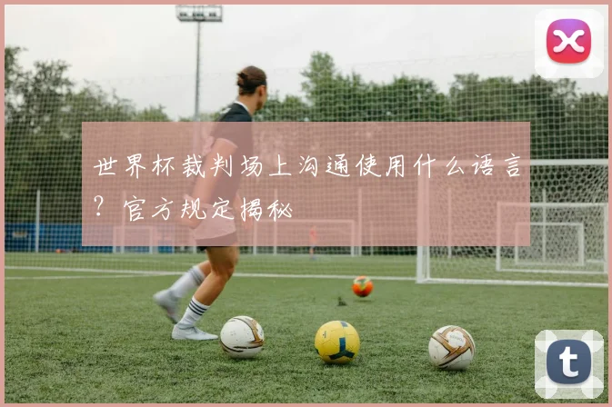 世界杯裁判场上沟通使用什么语言?官方规定揭秘