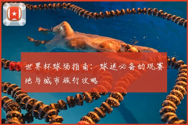 世界杯球场指南:球迷必备的观赛地与城市旅行攻略
