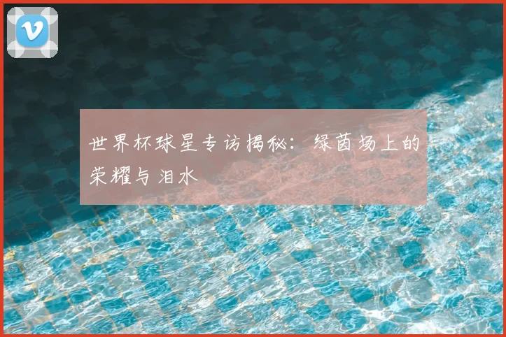 世界杯球星专访揭秘:绿茵场上的荣耀与泪水
