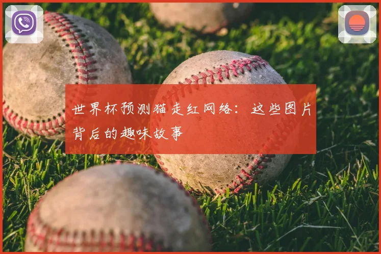 世界杯预测猫走红网络：这些图片背后的趣味故事