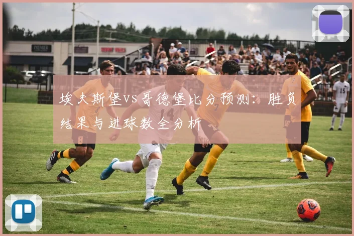 埃夫斯堡vs哥德堡比分预测：胜负结果与进球数全分析