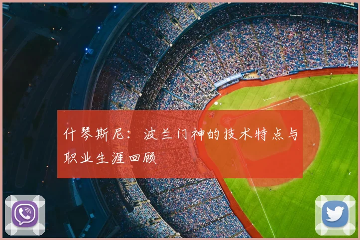 什琴斯尼：波兰门神的技术特点与职业生涯回顾