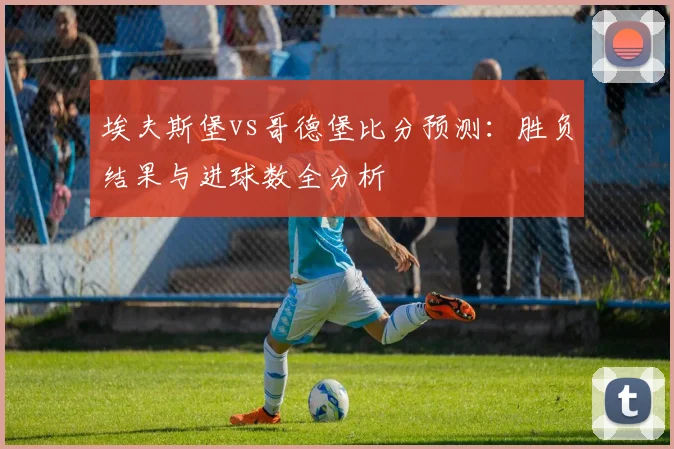 埃夫斯堡vs哥德堡比分预测：胜负结果与进球数全分析