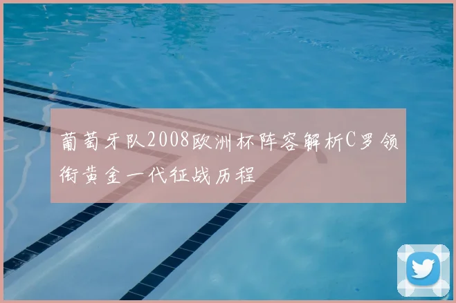 葡萄牙队2008欧洲杯阵容解析C罗领衔黄金一代征战历程
