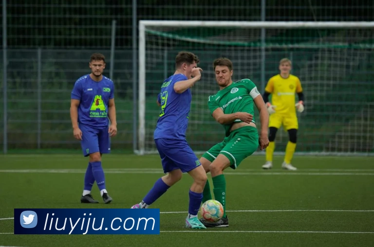 多媒体互动体验